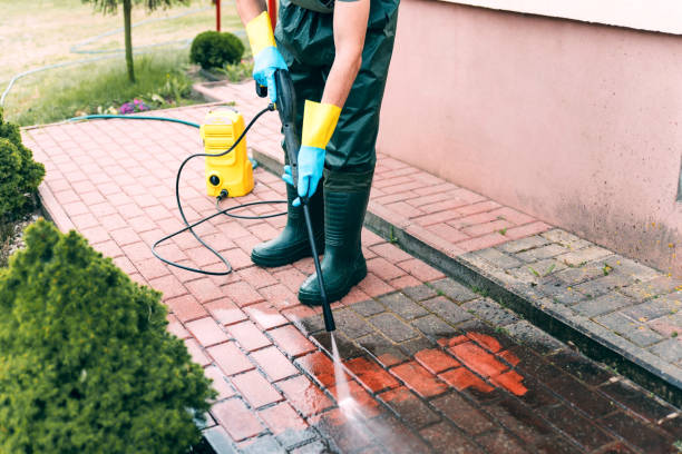 Best Solar Panel Cleaning  in Edgemere, MD