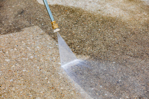 Best Animal Enclosure Cleaning  in Edgemere, MD