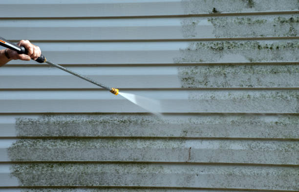 Professional Pressure Washing in Edgemere, MD