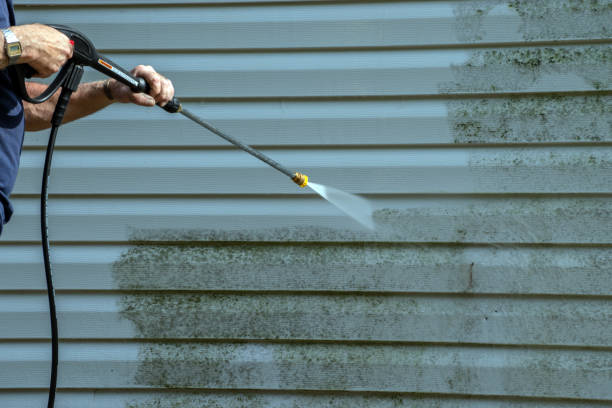 Best Building Exterior Washing  in Edgemere, MD
